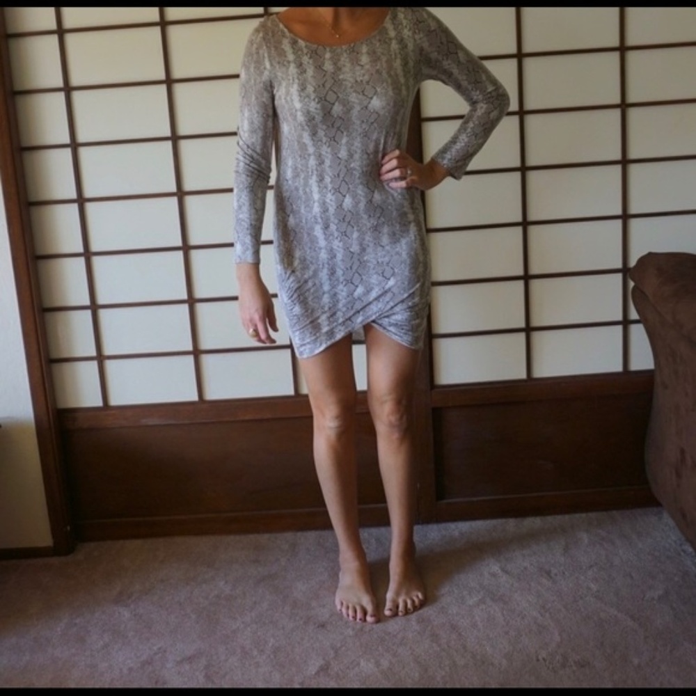 Joie Python Snake Print Dress - image 3